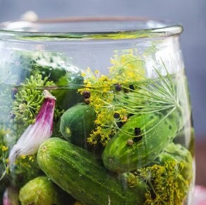Bouquet Dill herb seeds - Heirloom Untreated Open Pollinated Organically-grown