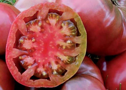 Cherokee Purple tomato seeds