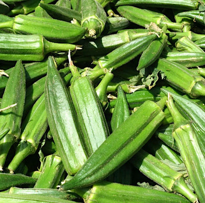 Clemson Spineless Okra seeds - Untreated Open Pollinatated Organically-grown  - Heat and drought tolerant - Very tasty