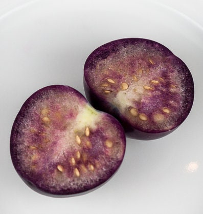 Purple de Milpa Tomatillo seeds (Physalis ixocarpa) - Culinary tomatillo for sauces