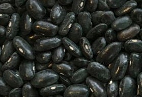 Bean Seeds, Cherokee Trail of Tears heirloom