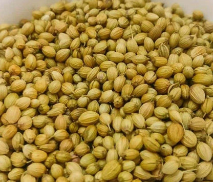 Cilantro herb seeds - Heirloom Organic Untreated