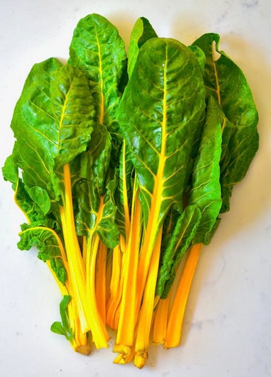 Golden Sunrise Swiss Chard Seeds | Yellow Orange Silverbeet Untreated Open Pollinated Heirloom Vegetable Seeds